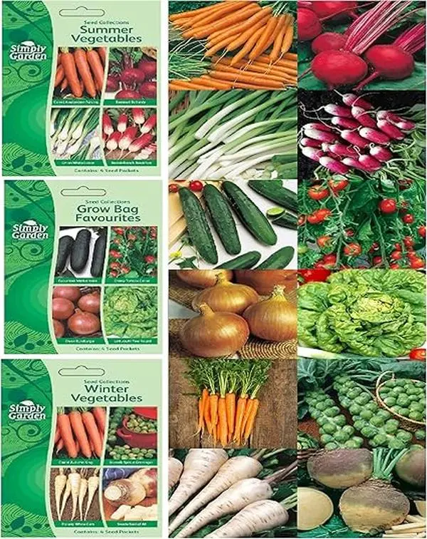 Seed Kit of 12 Vegetable Seed Varieties Cucumber, Tomato, Onion, Lettuce, Beetroot, Radish, Brussels, Parsnip