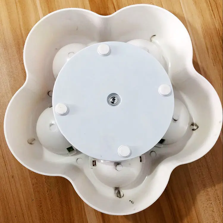 Pet IQ looking for food toys cats tag 1