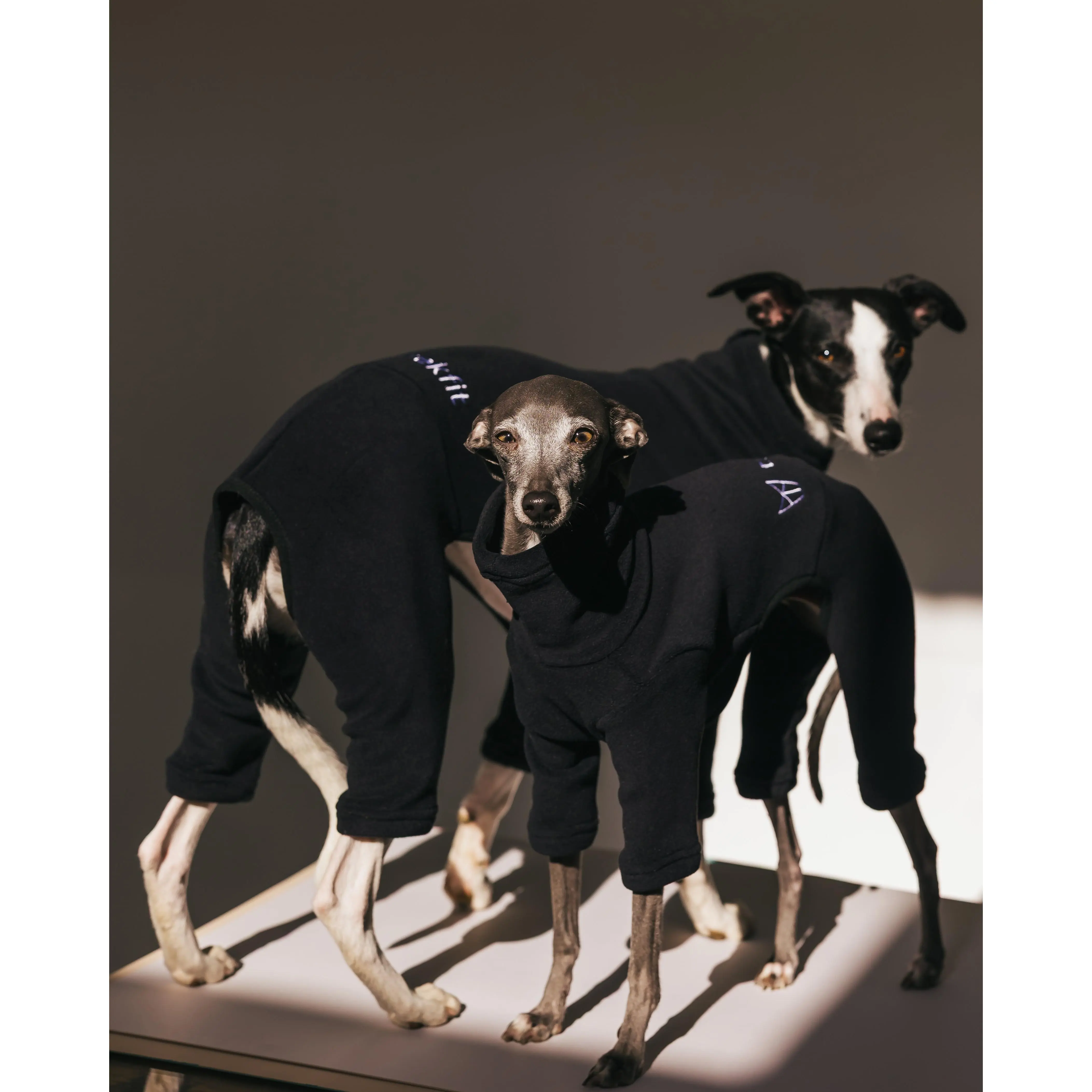 Italian Greyhound & Whippet Fleece Liquorice