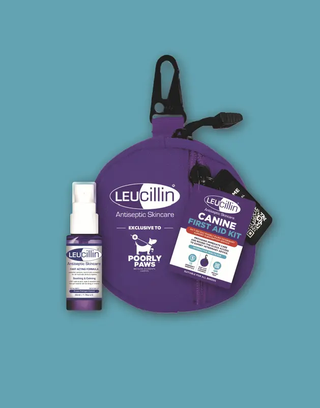 Poorly Paws Exclusive - 30ml Leucillin Antiseptic Spray for Pets 1