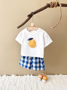 Baby's Lemon Print Short Sleeve Tee & Plaid Print Shorts Two-piece Set, Casual Cute  Round Neck T-shirt & Elastic Waist Shorts, Summer Outfits Clothes for Infant Toddler