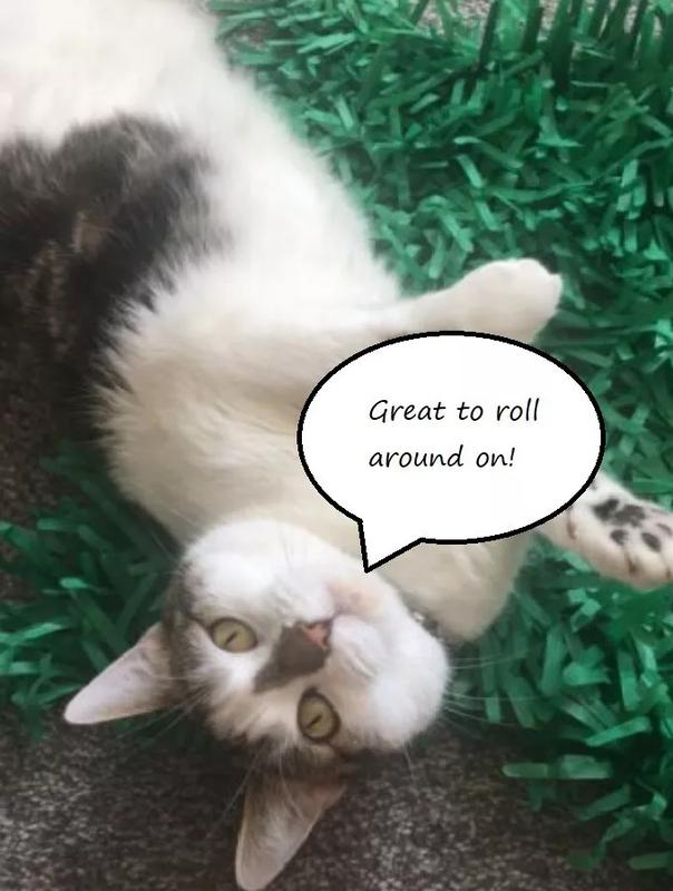Green Interactive Kitten Indoor Pet Toys - Cat Toy Tissue Paper Grass Mats 5
