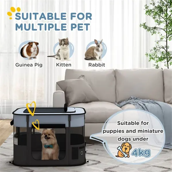 Pet Carrier 2