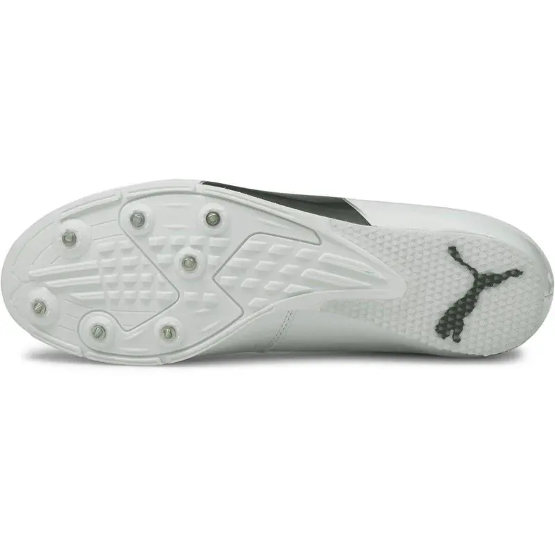 Puma evoSpeed Long Jump 6 Field Event Spikes - White 1