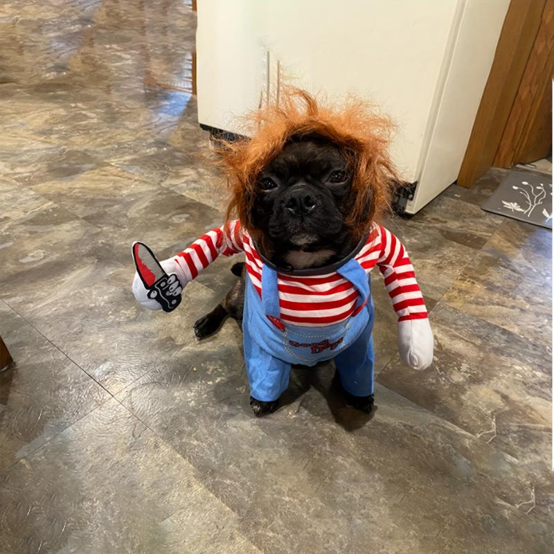 Halloween Deadly Doll Design Pet Dog Costume Halloween Clothes Wig And Knife Novelty Funny Scary Props Outfit Apparel Accessories 6