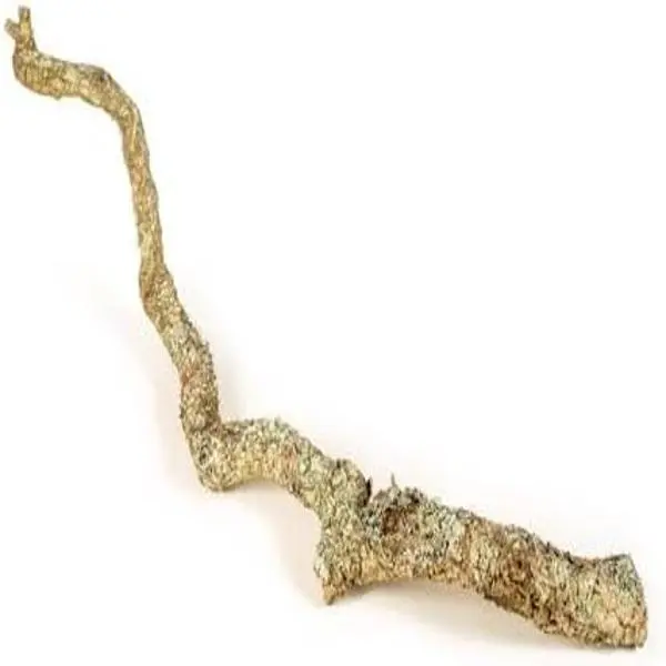 Cork Bark Branch 30cm In Length 1