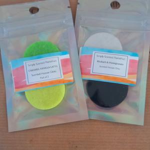 Vacuum Discs- Pack of 2 Fragranced Filters for Easy Home Cleaning