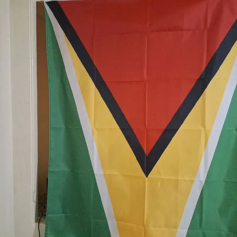 National Flag of Guyana - Perfect for Banners 1