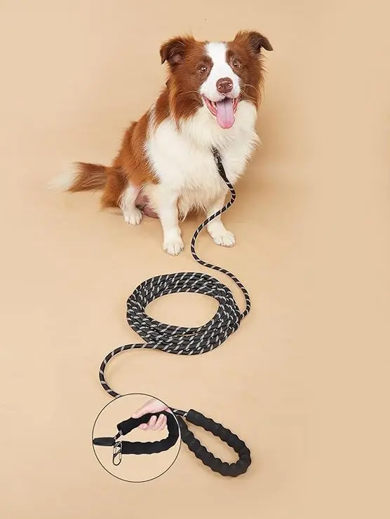 Training Lead for Dogs - 10M 20M Long Line Dog Lead with Carabiner Clip and Padded Handle Dog Training Leads, Reflective Long Lead Durable Recall Training Lead for Small Medium Large Dog (10M/33FT) 3