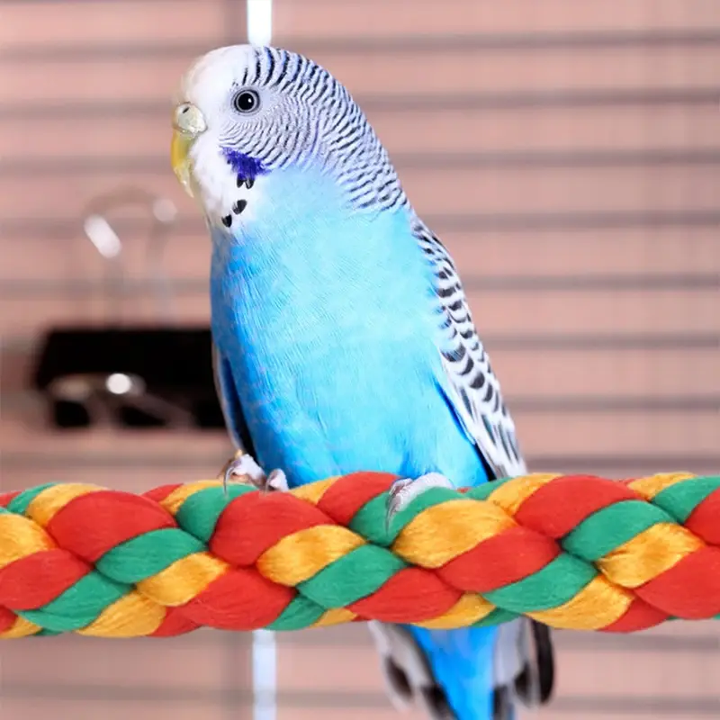 Bird Bite Toy Multi-color Parrot Standing Woven Rope Toy  Bird Chew Toy Bendable Pet Parrot Standing Perches  For Parakeet 1