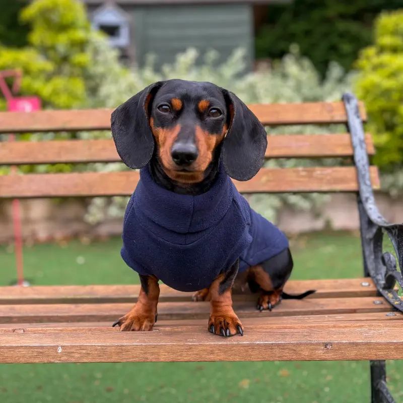 Dachshund Essentials Rollneck Jumper - Dachshund Jumper - Sausage Dog Rollneck Jumper 5