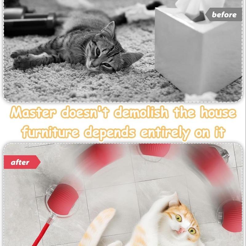 Newly Designed 360° Interactive Electric Rolling Mobile Rechargeable Self-play Stimulating Toy, Pet Chase Ball with Fast Tail Rope, Suitable for Indoor Cat, Small Dog Toy 4