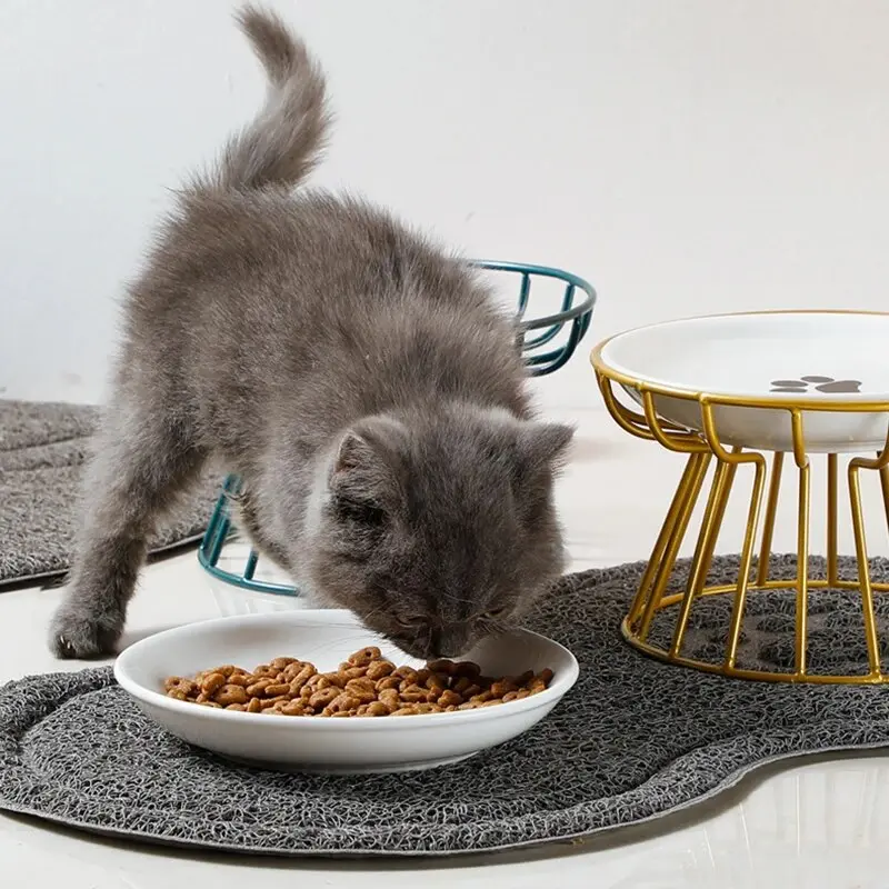 1 Set Pet Cat Ceramic Bowl Iron Rack Cat Food Snacks Canned Plate Anti-black Chin Anti-turning Water Does Not Leak Easy To Eat 3