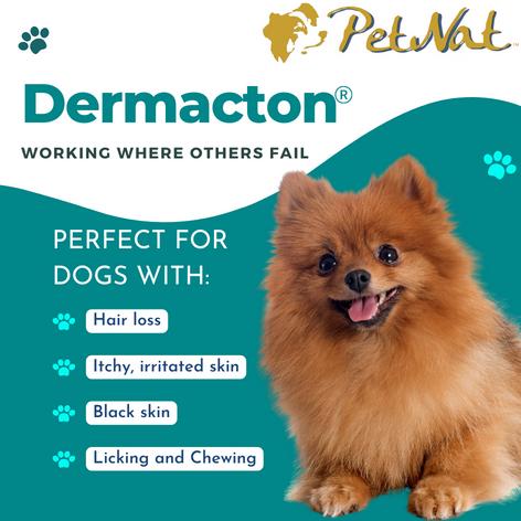 Dermacton Shampoo Bar for Itchy Dogs 100g - for ITCHY Irritated Skin | Natural Relief From Itching, Antibacterial and Antifungal, Long Lasting Bar Format, Great for Sensitive & Dry Skin, Professionally Recommended 1