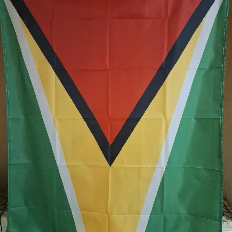 National Flag of Guyana - Perfect for Banners 6