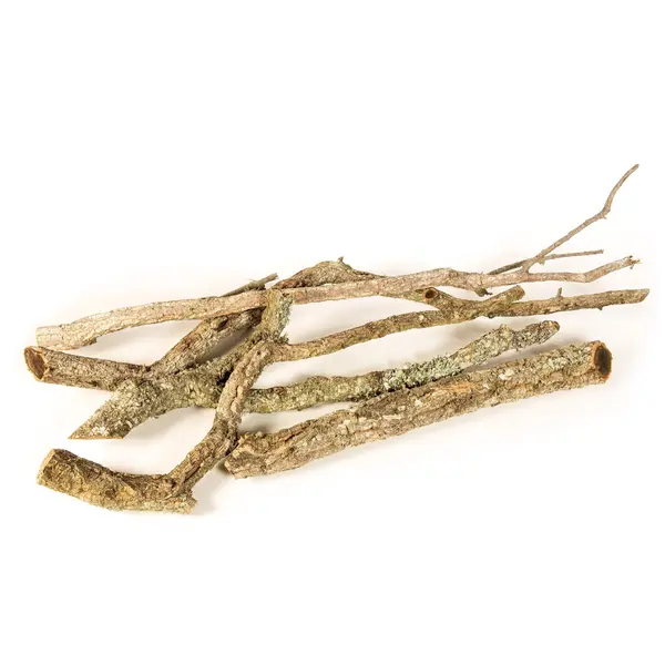 Cork Bark Branch 30cm In Length 0