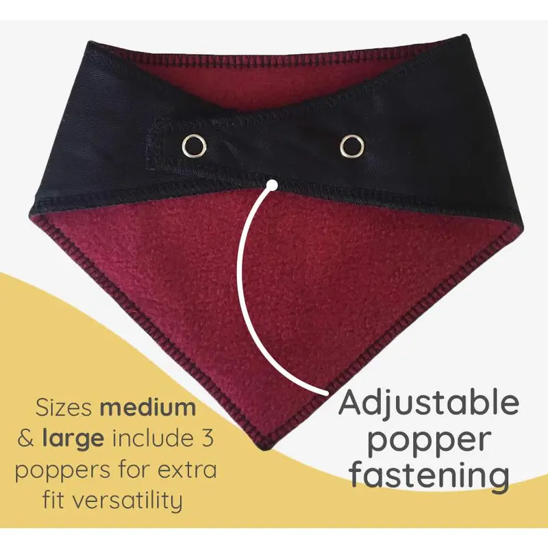 R2 Pee Poo Dog Bandana 3