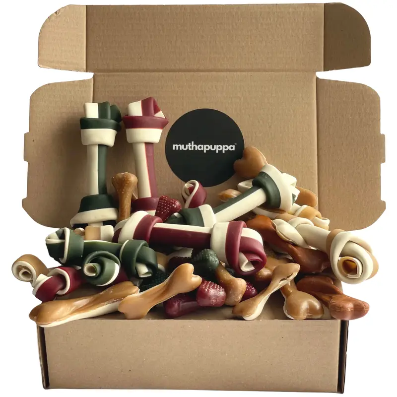 Funny Bones Box 1