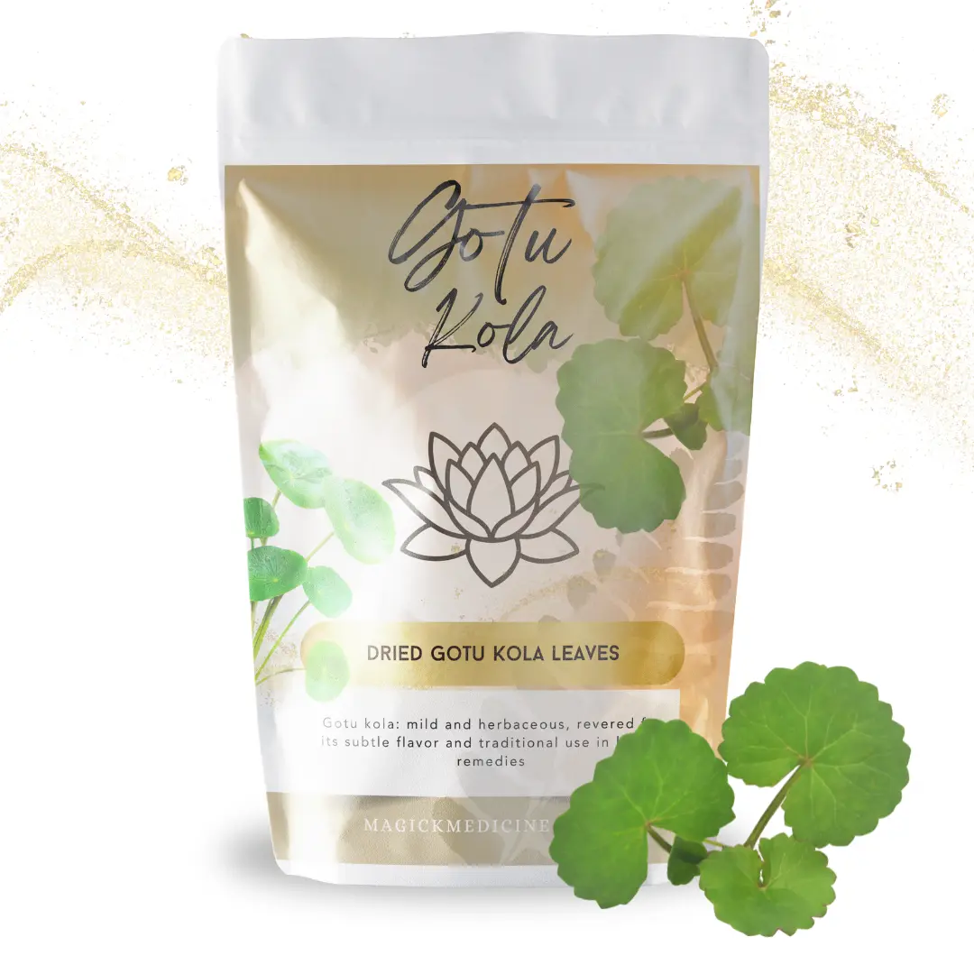 Gotu Kola Tea - Memory & Focus | Herbal Loose Leaf Tea