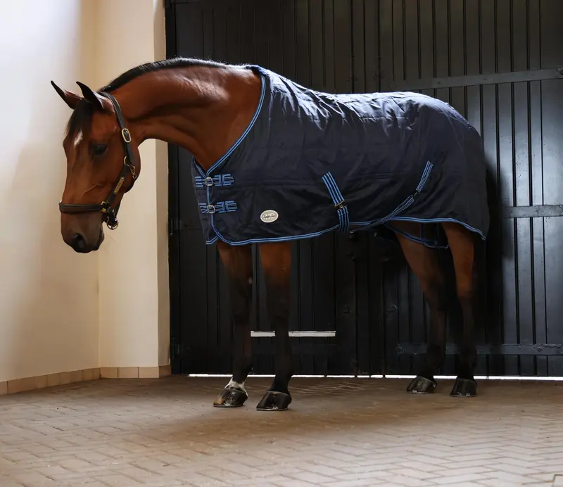 Zambezi 100g Standard Neck Stable Rug 2