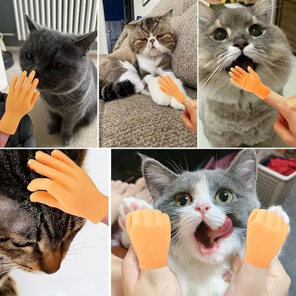 Finger Hand - Comfortable Cat Massage Tool - Mini Pet Toy 3