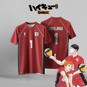 [Free Custom Name and Number] Anime Volleyball Boys Same Style Jersey 3D Printing Multi-color Volleyball Top T-shirt Unisex