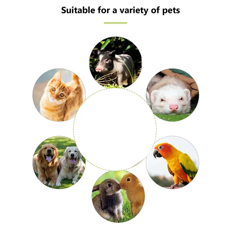 2-in-1 Pet Training Whistle 3