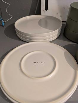 Product Review of Big Plates (4 Piece Set) from g**0 0