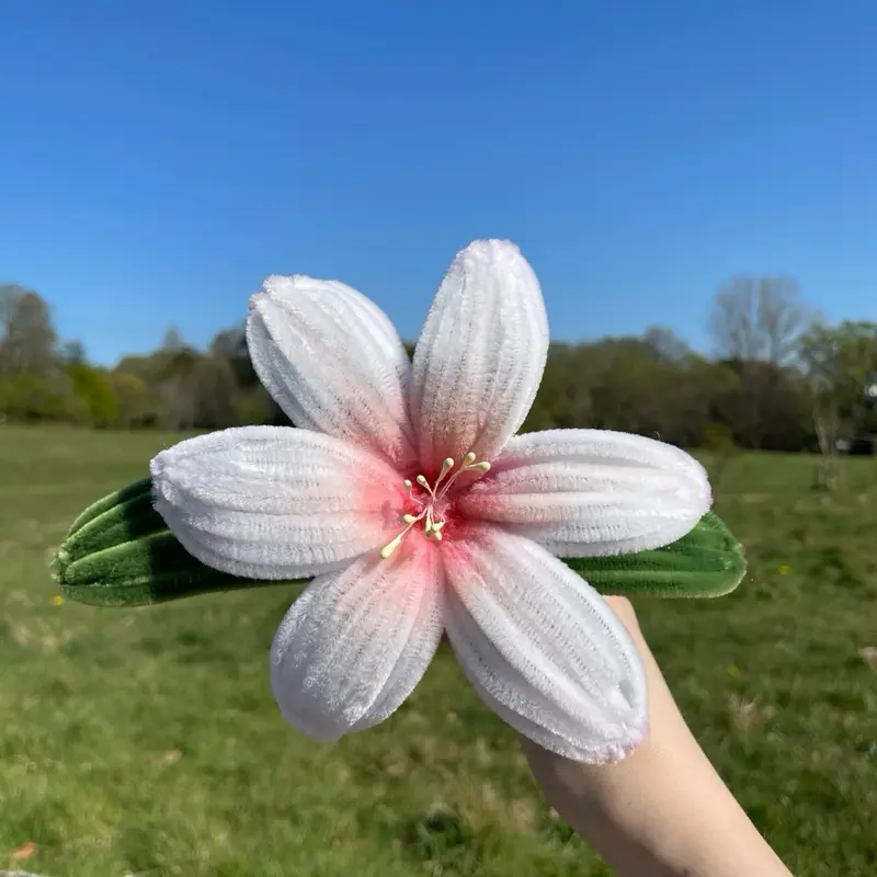 LILY (SINGULAR)