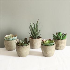 Set of 5 Artificial Succulents with Pulp Paper Pot for Home Office Decor