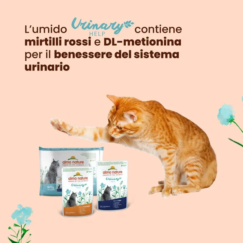 Almo Nature Functional Urinary Help Multipack Complete Wet Cat Food -3 pouches with Fish/3 pouches with Chicken, (pack of 6 pouches x70g), With Fish - With... 3