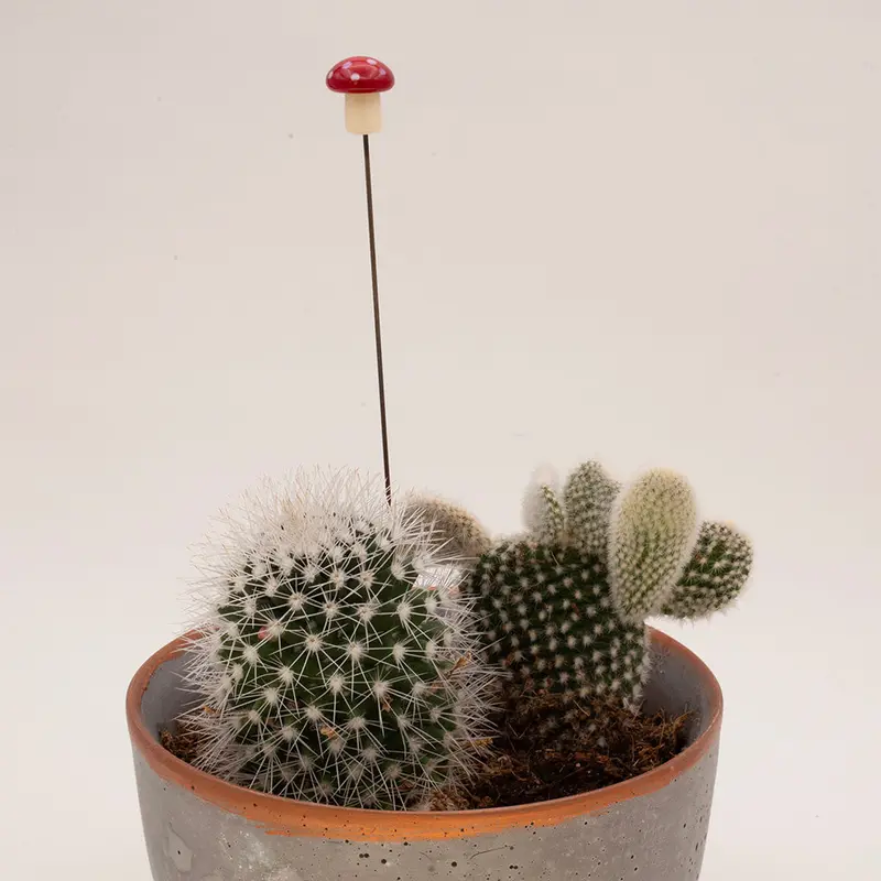 Mushroom Plant Decoration 2