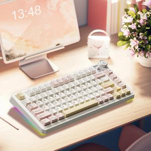 MK75 Wireless Keyboard, 81 Key Gasket Structure Keyboard with RGB Backlight, Universal Rechargeable Keyboard for Tablet & Laptop