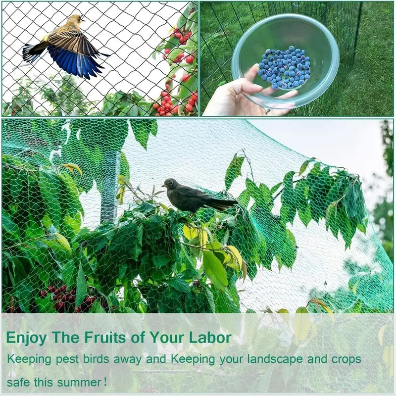 Garden Netting, Plant, Veg, Fruit and Ponds Protection, Cat and Bird Proof Garden Net, Versatile Fine Mesh Garden Netting, Garden Fence Netting, Garden Accessories - (1, 2X10) 4