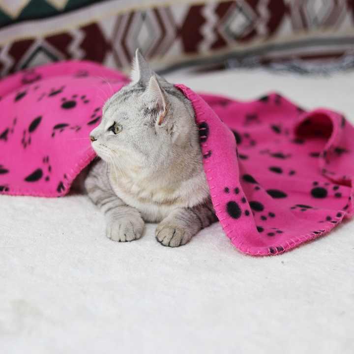 Product Introduction of Cozy Fleece Pet Blanket – Flannel Paw Print Throw for Dogs & Cats | Soft, Washable & Eco-Friendly Bedding – Best for Cats, Dogs and other pets 1