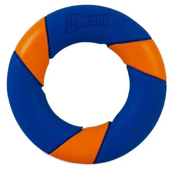 Chuckit! Ultra Squeaker Ring Dog Toy, Outdoor Fetch and Chase Toy for All Breed Sizes, multi-color 5