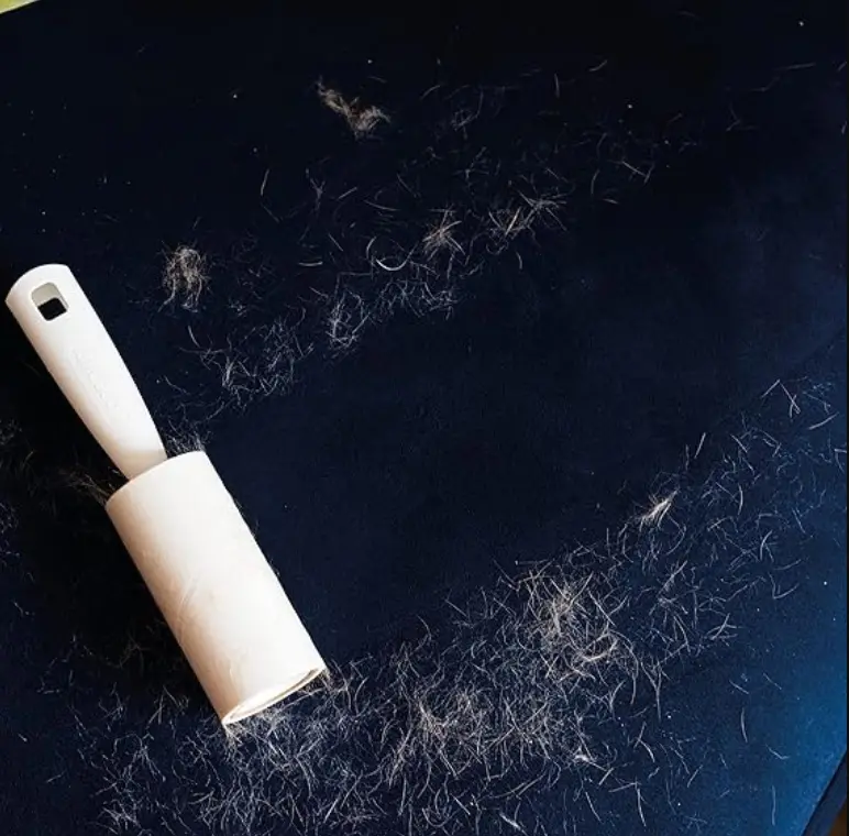 Lint Roller 7.4m - Lint Remover & Sticky Rolls, Pet Hair Remover, Cat Hair Remover, Clothes Sticky Roller - Compatible with Lint Roller Refills Cleaning Sheets 2