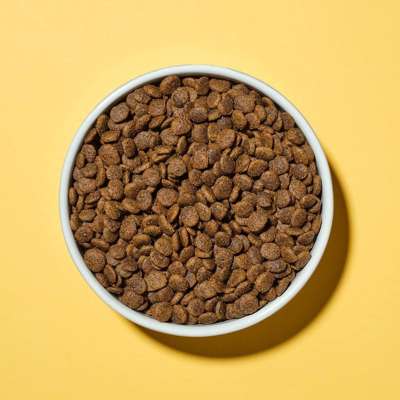 - Complete Small Dog Dry Dog Food (Grain Free), Chicken & Superfood Blend, 1.5Kg 3