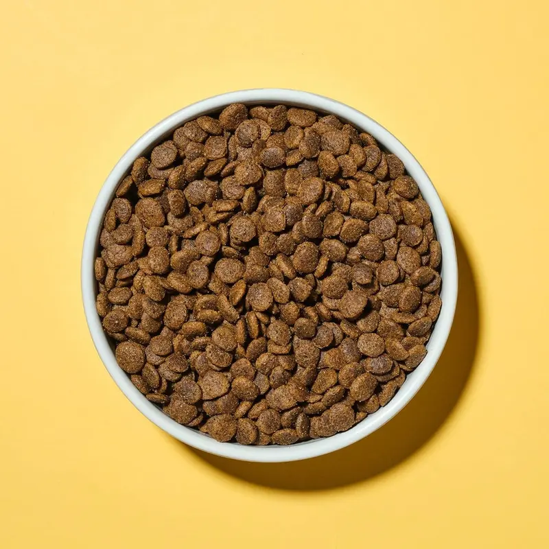 - Complete Small Dog Dry Dog Food (Grain Free), Chicken & Superfood Blend, 1.5Kg 3