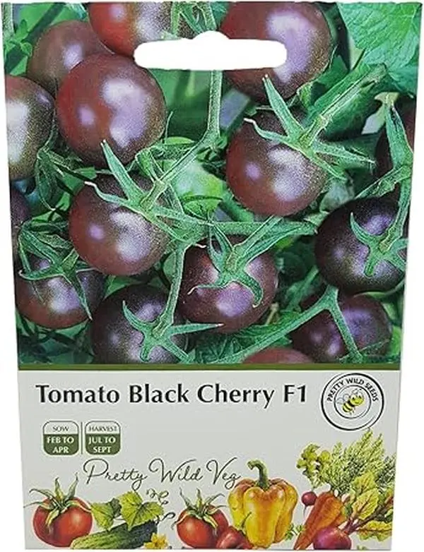 Tomato Black Cherry Seeds in Pictorial Packet-Heavy cropping with a Very Rich Flavour