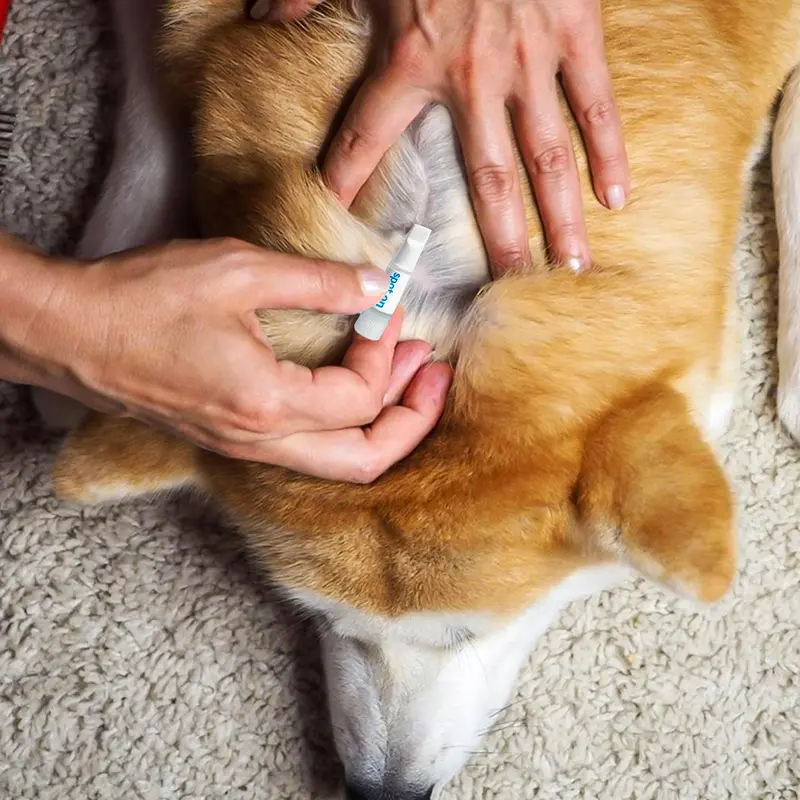 2 x 2 Dog Flea & Tick Treatment Spot-On Solution - Repellent & Upto 4 Months Protection 6