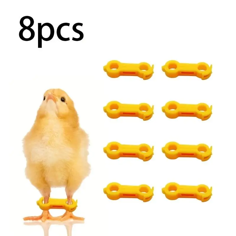 8pcs of Leg Braces for Chicks, Designed for The Leg Recovery of Young Chickens, Quails, Ducklings, And Small Birds, Suitable for Poultry Farming, Farms, And Poultry Breeding Facilities.