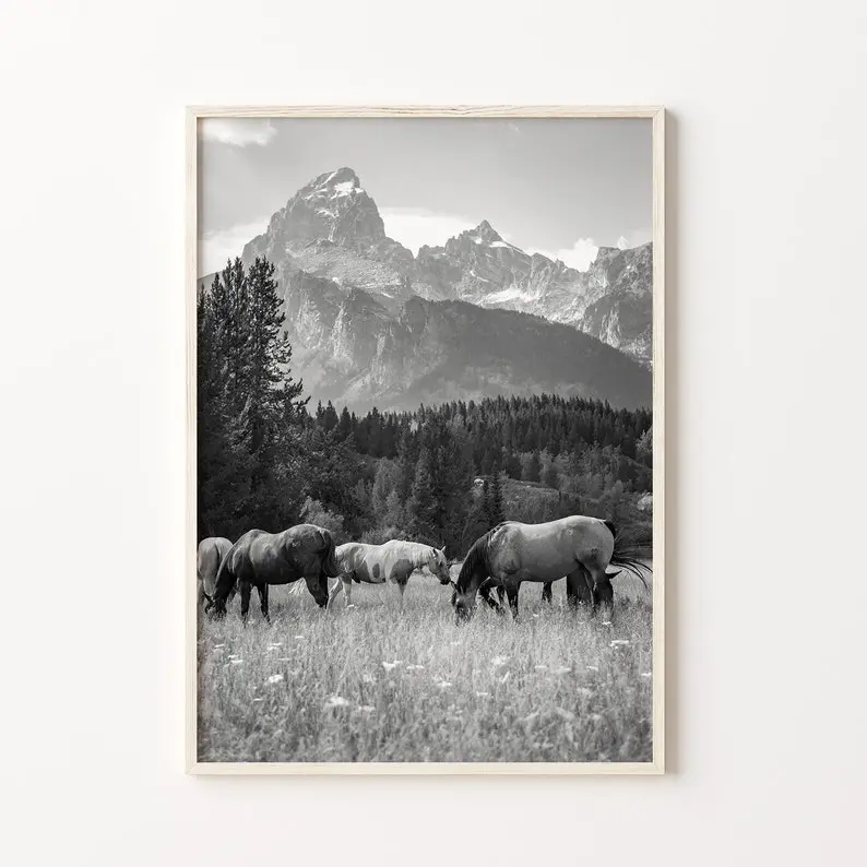 Teton Mountain Range, Wyoming, Wild Horses, 1