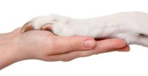 Product Introduction of BiotinMax Increased Coat and Nail Growth for Dogs 2
