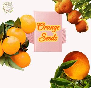 【Christmas Gift】Orange Seeds - Plant a Little Sunshine Today - 30 Seeds