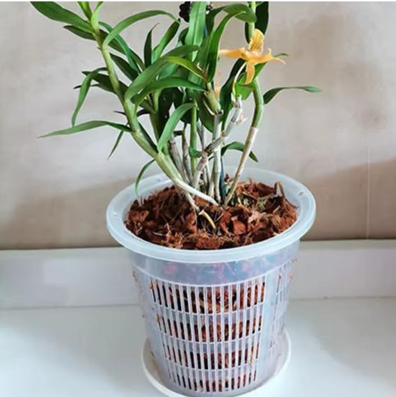 Meshpot Clear Plastic Orchid Pots For Flower Breathable Basin Orchid Planters Root Control Orchid Transparent Desktop Pot 5