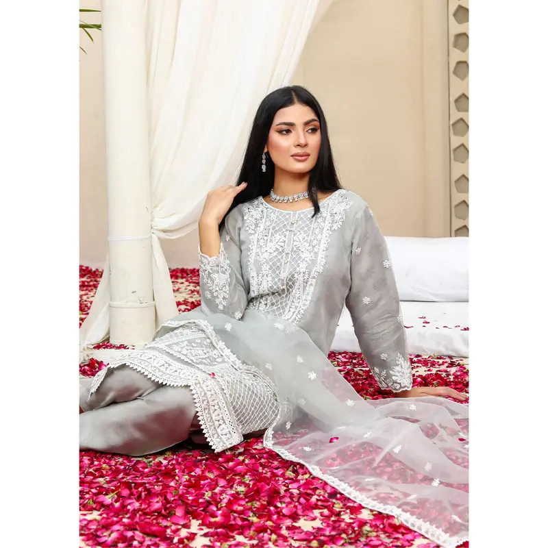 KLD1016 Aera - Readymade Organza Suit 2