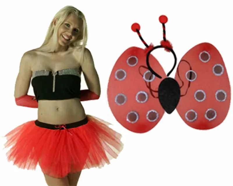 Ladybird Wings Deeley Boppers Red Tutu Skirt Halloween Devil Fancy Dress Set 2