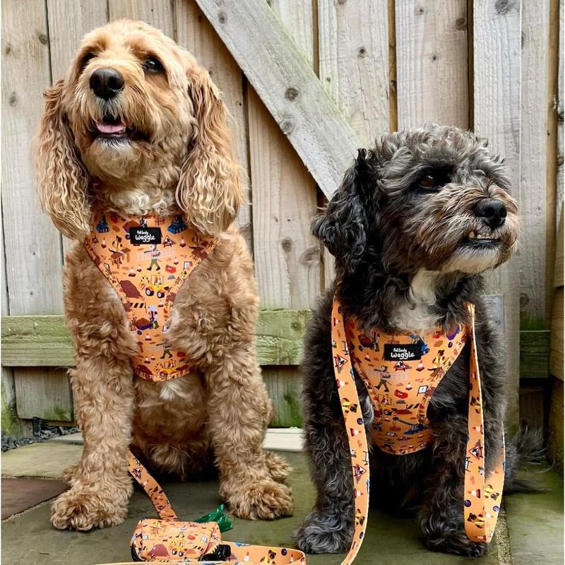 Dogs at Work - Lead 5