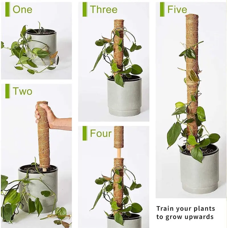 Moss Pole 80cm Coir Totem Pole Moss Stick Plant Support Totem Pole Plant Climbing Coco Coir Poles for Creepers Climbing Plant 4